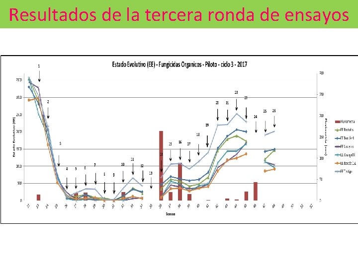 Resultados de la tercera ronda de ensayos 