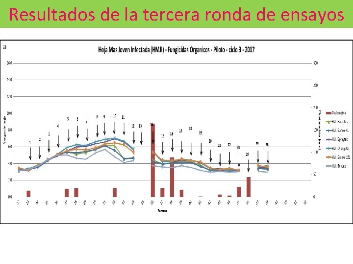 Resultados de la tercera ronda de ensayos 