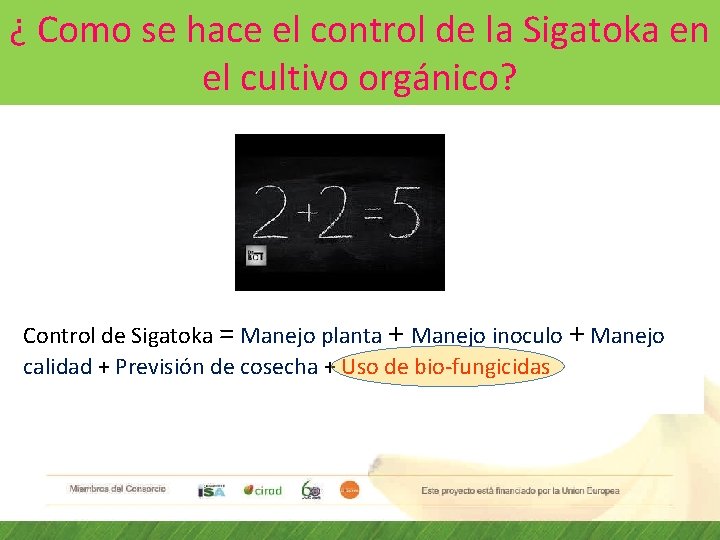 ¿ Como se hace el control de la Sigatoka en el cultivo orgánico? Control