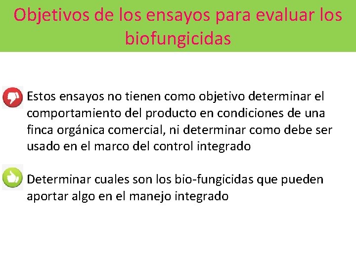 Objetivos de los ensayos para evaluar los biofungicidas v Estos ensayos no tienen como