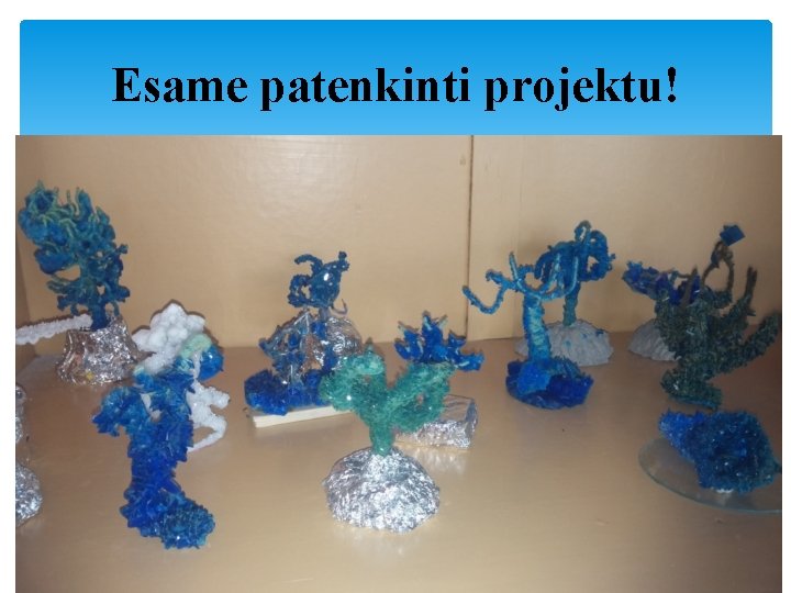 Esame patenkinti projektu! 