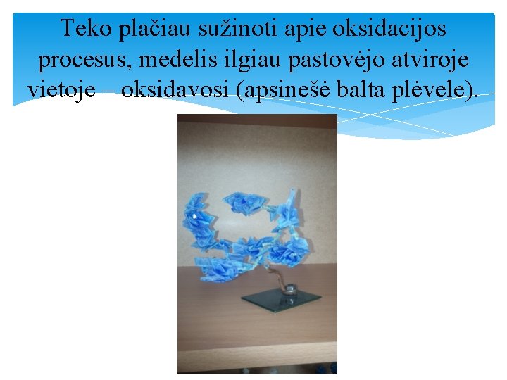 Teko plačiau sužinoti apie oksidacijos procesus, medelis ilgiau pastovėjo atviroje vietoje – oksidavosi (apsinešė