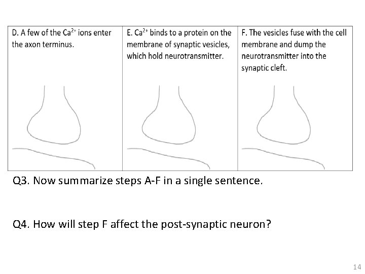 Q 3. Now summarize steps A-F in a single sentence. Q 4. How will