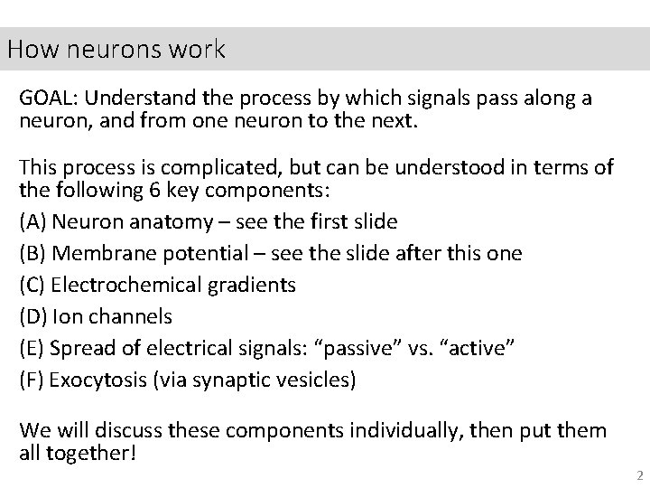 How neurons work GOAL: Understand the process by which signals pass along a neuron,