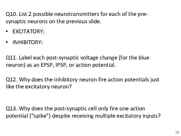 Q 10. List 2 possible neurotransmitters for each of the presynaptic neurons on the