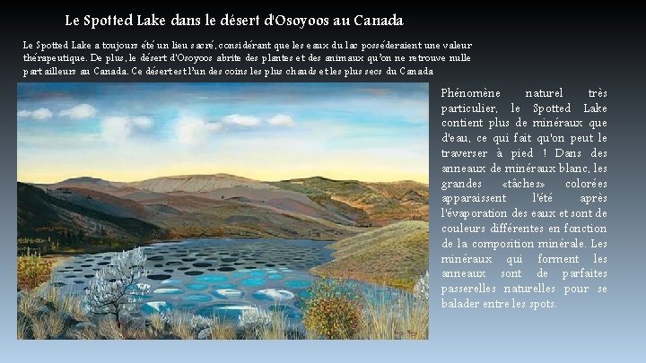 Le Spotted Lake dans le désert d'Osoyoos au Canada Le Spotted Lake a toujours