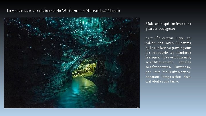 La grotte aux vers luisants de Waitomo en Nouvelle-Zélande Mais celle qui intéresse les