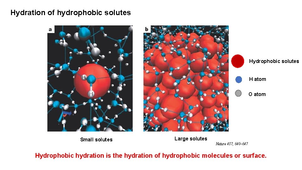 Hierarchical Selfassembly Induced By Dilutionenhanced Hydrophobic Hydration