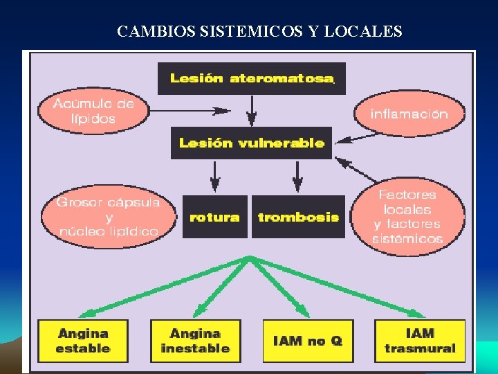 CAMBIOS SISTEMICOS Y LOCALES 