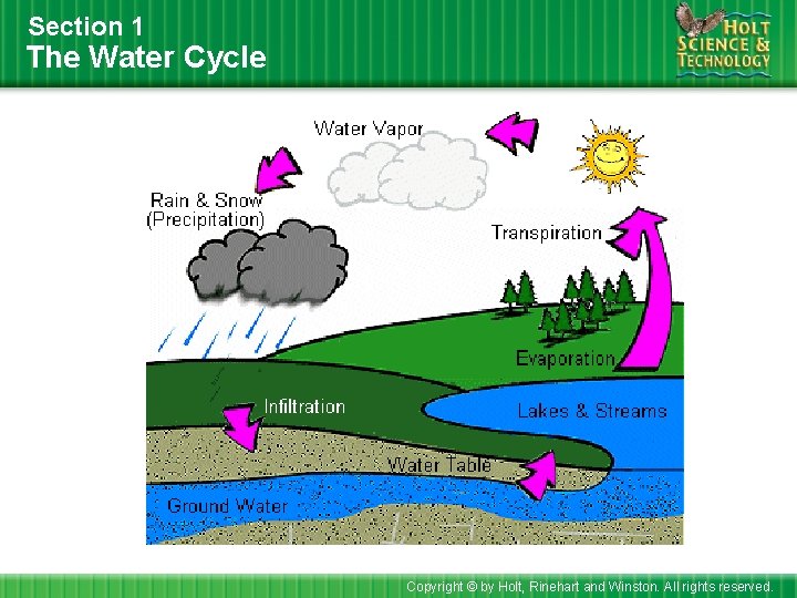 Section 1 The Water Cycle Copyright © by Holt, Rinehart and Winston. All rights