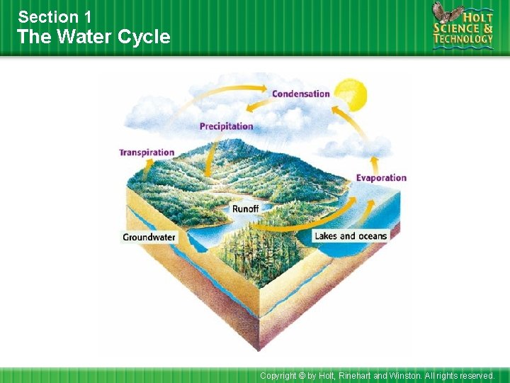 Section 1 The Water Cycle Copyright © by Holt, Rinehart and Winston. All rights