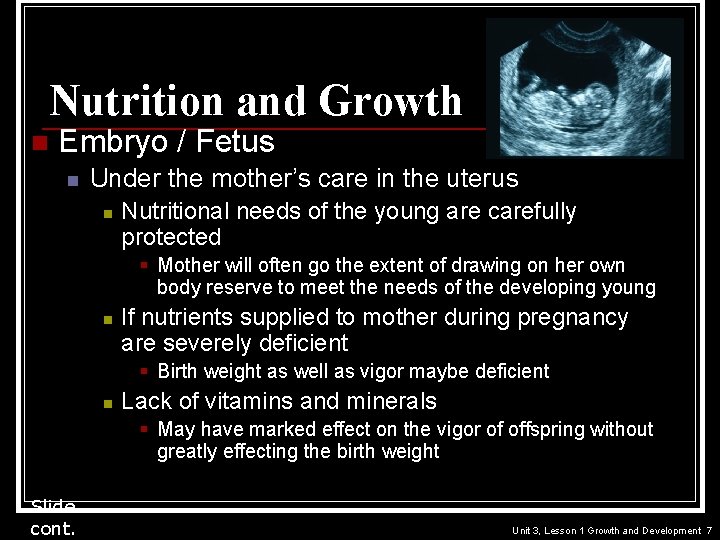Nutrition and Growth n Embryo / Fetus n Under the mother’s care in the
