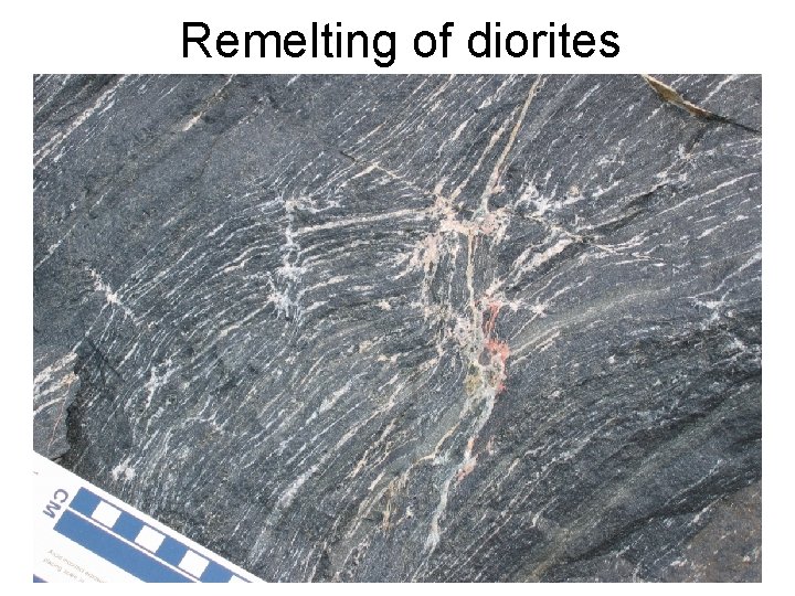Remelting of diorites 