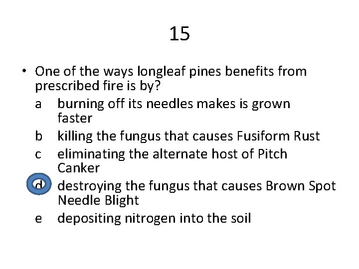 15 • One of the ways longleaf pines benefits from prescribed fire is by?