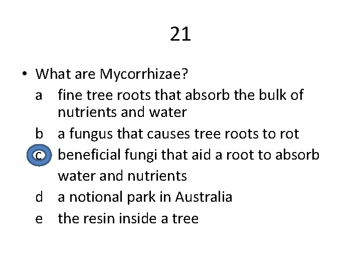 21 • What are Mycorrhizae? a fine tree roots that absorb the bulk of