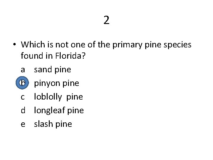 2 • Which is not one of the primary pine species found in Florida?