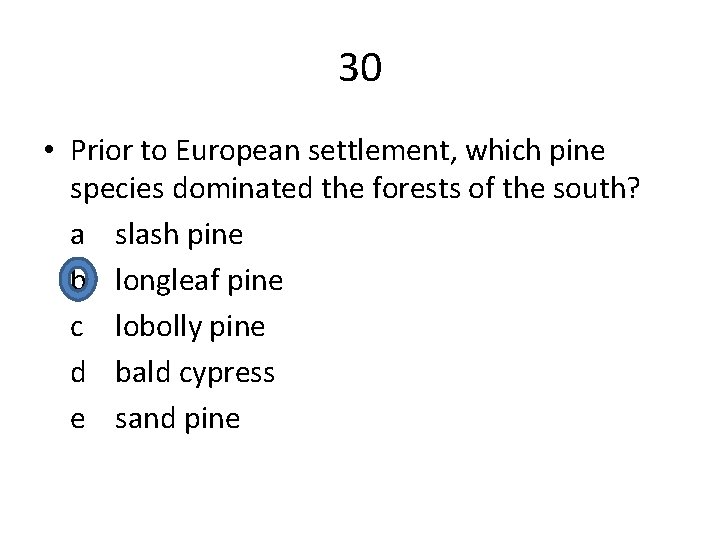 30 • Prior to European settlement, which pine species dominated the forests of the