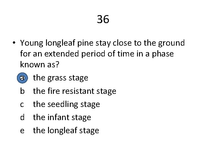 36 • Young longleaf pine stay close to the ground for an extended period