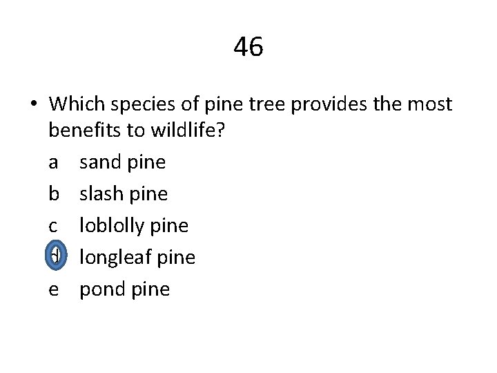 46 • Which species of pine tree provides the most benefits to wildlife? a