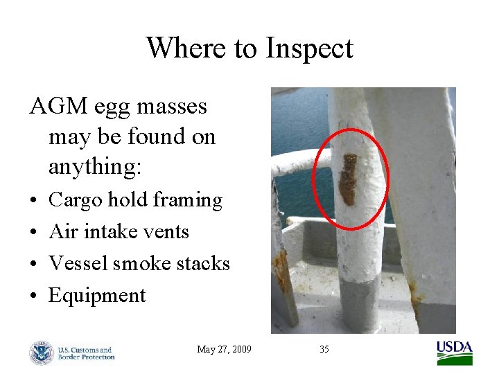 Where to Inspect AGM egg masses may be found on anything: • • Cargo