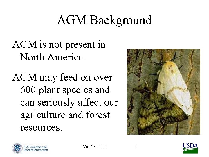 AGM Background AGM is not present in North America. AGM may feed on over