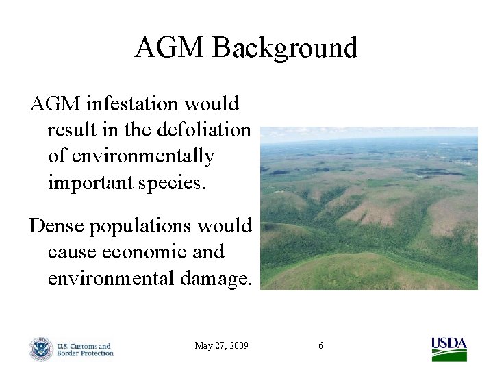 AGM Background AGM infestation would result in the defoliation of environmentally important species. Dense