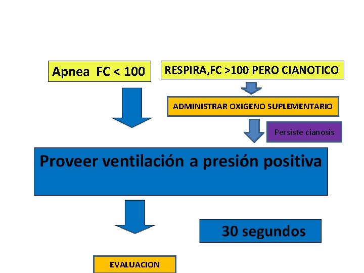 Apnea FC < 100 RESPIRA, FC >100 PERO CIANOTICO ADMINISTRAR OXIGENO SUPLEMENTARIO Persiste cianosis