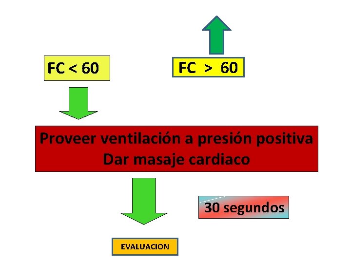 FC > 60 FC < 60 Proveer ventilación a presión positiva Dar masaje cardiaco