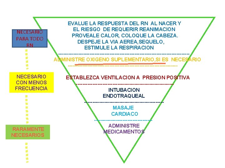 NECESARIO PARA TODO RN NECESARIO CON MENOS FRECUENCIA RARAMENTE NECESARIOS EVALUE LA RESPUESTA DEL