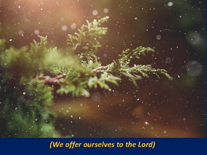 (We offer ourselves to the Lord) 