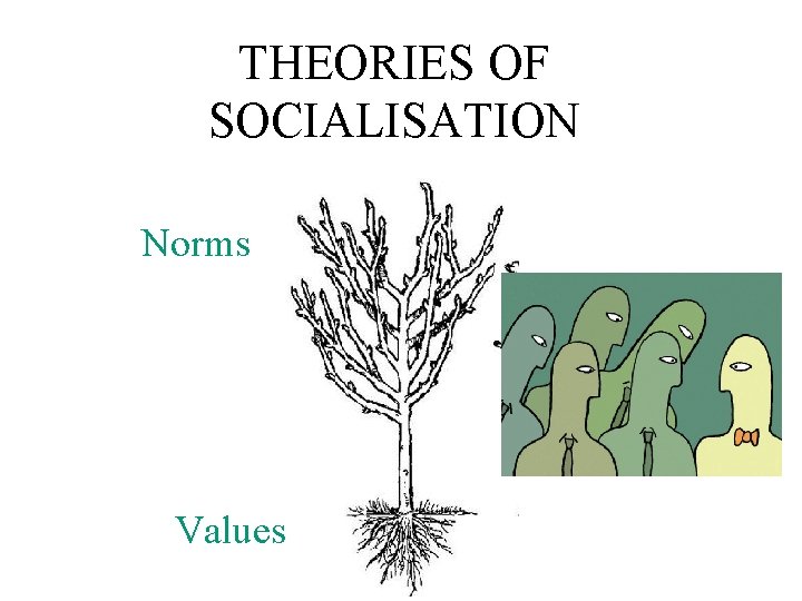 THEORIES OF SOCIALISATION Norms Values 