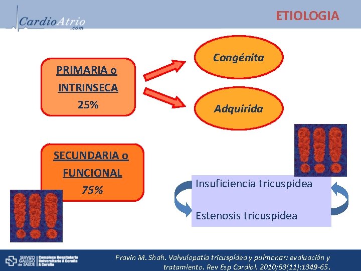 ETIOLOGIA PRIMARIA o INTRINSECA 25% SECUNDARIA o FUNCIONAL 75% Congénita Adquirida Insuficiencia tricuspidea Estenosis