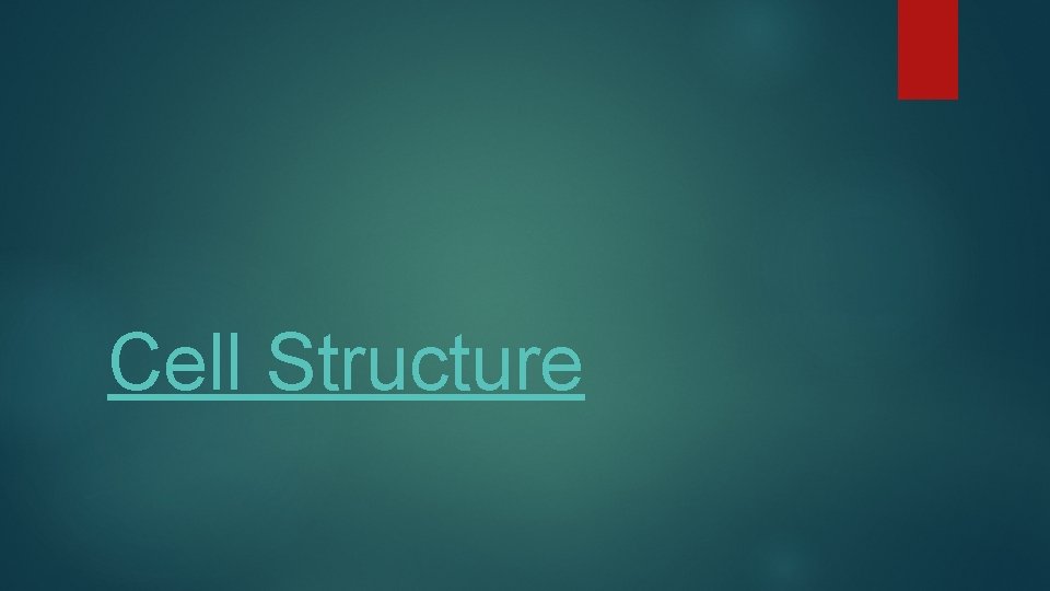 Cell Structure 