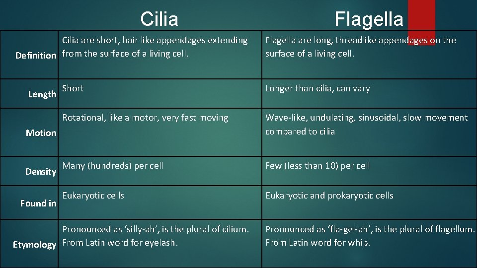 Cilia are short, hair like appendages extending Definition from the surface of a living