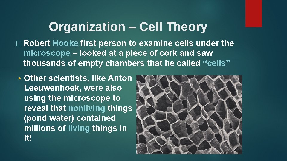 Organization – Cell Theory � Robert Hooke first person to examine cells under the