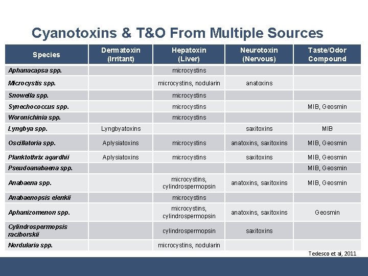 Cyanotoxins & T&O From Multiple Sources Species Dermatoxin (Irritant) Aphanacapsa spp. Hepatoxin (Liver) Neurotoxin