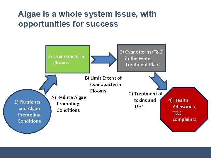 Algae is a whole system issue, with opportunities for success 2) Cyanobacteria Blooms 1)