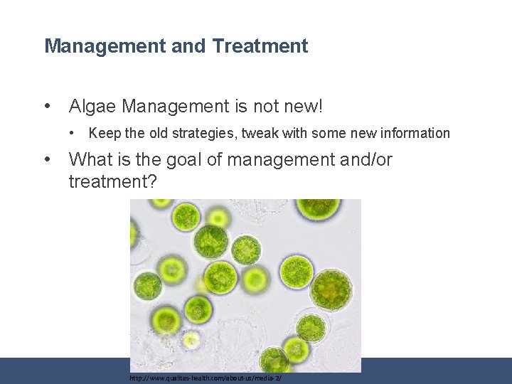 Management and Treatment • Algae Management is not new! • Keep the old strategies,