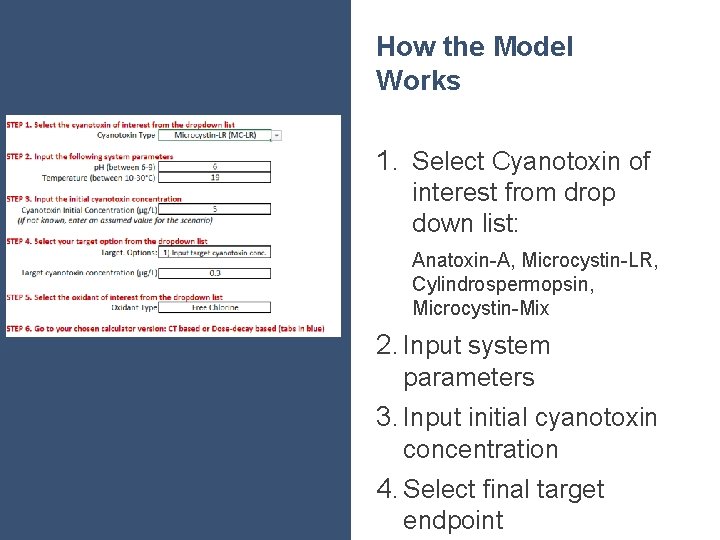 How the Model Works 1. Select Cyanotoxin of interest from drop down list: Anatoxin-A,