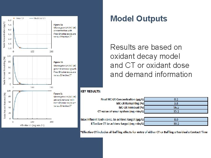 Model Outputs Results are based on oxidant decay model and CT or oxidant dose