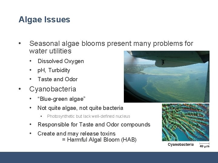 Algae Issues • Seasonal algae blooms present many problems for water utilities • Dissolved