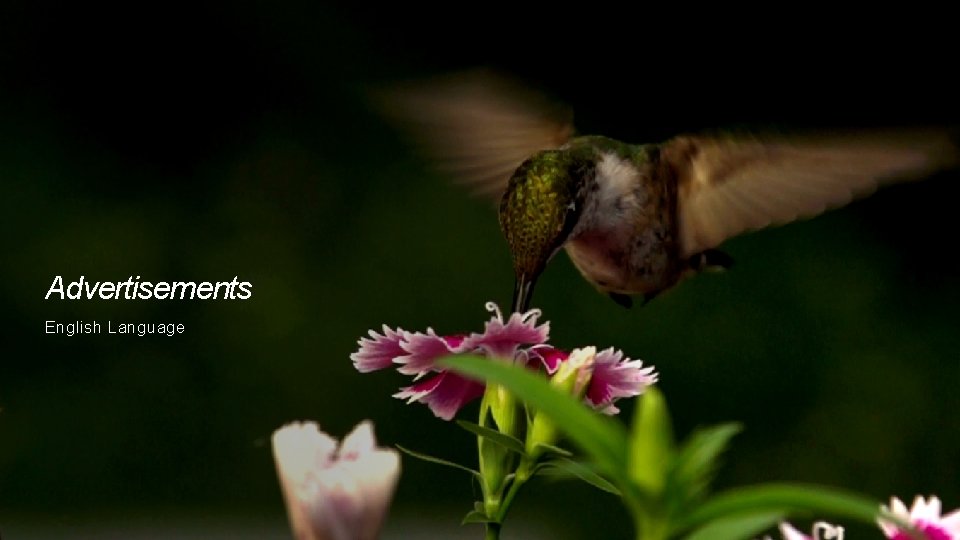 Advertisements English Language Advertisements English Language