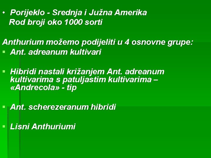  • Porijeklo - Srednja i Južna Amerika Rod broji oko 1000 sorti Anthurium