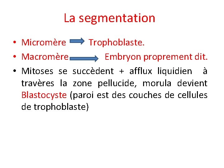 La segmentation • Micromère Trophoblaste. • Macromère Embryon proprement dit. • Mitoses se succèdent