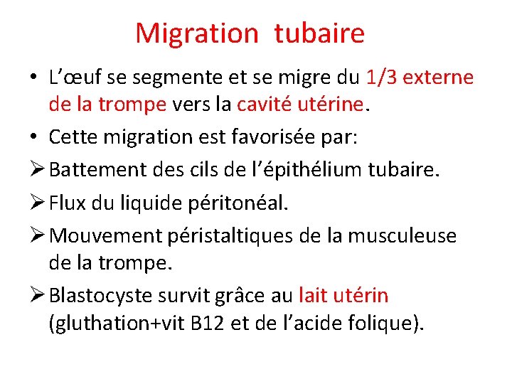 Migration tubaire • L’œuf se segmente et se migre du 1/3 externe de la