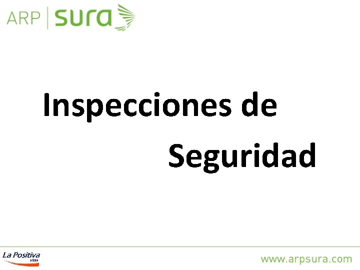 Inspecciones de Seguridad 