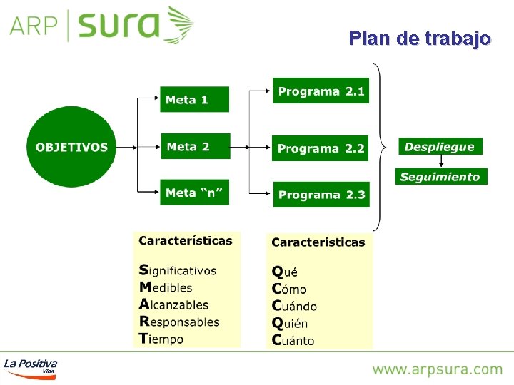 Plan de trabajo 