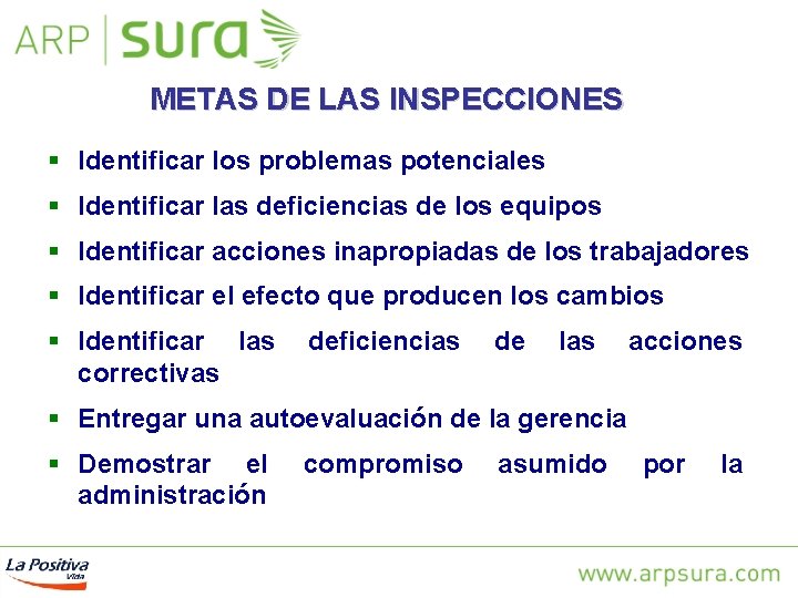 METAS DE LAS INSPECCIONES § Identificar los problemas potenciales § Identificar las deficiencias de