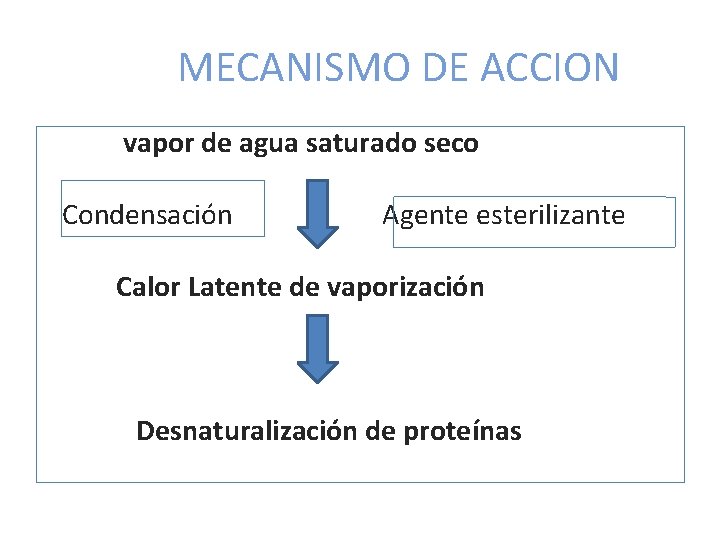 MECANISMO DE ACCION vapor de agua saturado seco Condensación Agente esterilizante Calor Latente de