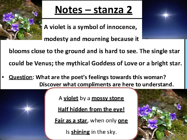 Notes – stanza 2 • A violet is a symbol of innocence, • modesty